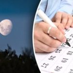Aké dni v októbri prinesú úspech v zeleninovej záhrade: lunárny